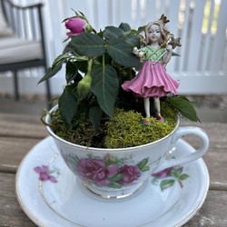 Tea Cup Fairy Garden Workshop (Fundraiser)