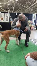 Ruff Start Rescue Summer of Love Pet Adoption Event at Mall of America