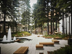 Redwood Park Concert Series