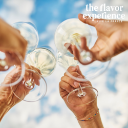 The Flavor Experience