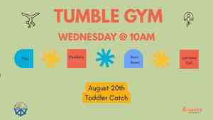 Tumble Gym: Toddler Catch