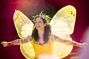 A Faery Hunt Enchanted Adventure