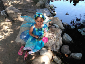 A Faery Hunt Show and Fairy Halloween Party