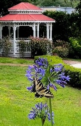 Clermont Garden Club Open House, August 20