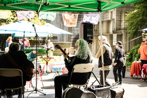 Freeway Park IN BLOOM
