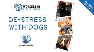 De-Stress with Dogs
