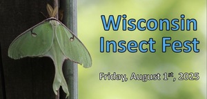 Wisconsin Insect Fest