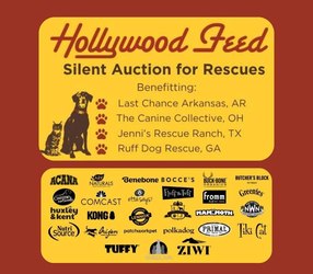 Hollywood Feed Silent Auction for Rescues