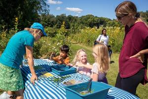 Kids on the Prairie: Butterflies and Bugs