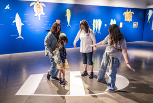 Nina Katchadourian: Origin Stories