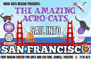 The Amazing Acro-Cats Sail into San Francisco