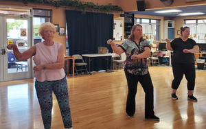 Crane Dance - Gentle Tai Chi