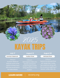 Kayak outing: Mohawk River