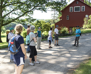 Tree Tales Hike