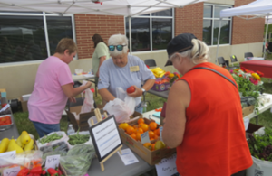Tomato Festival