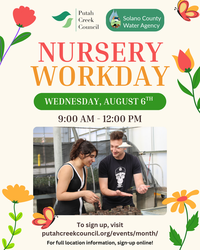 Volunteer with Putah Creek Council in the SCWA Native Plant Nursery