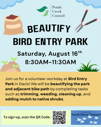 Beautify Bird Entry Park