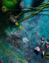 Natural Pigments-Inks