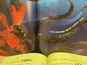 Nature Book and Look