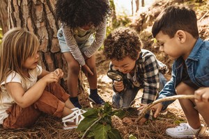Sapling Summer Explorers