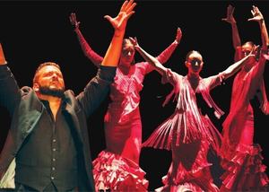 Flamenco Denver's world class performance "RAICES"