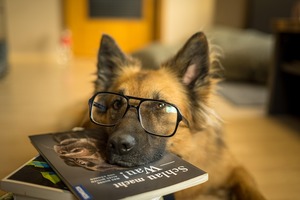Read with RocDog!