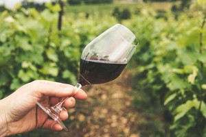 Philbrook Wine Club: Sippin’ in the Sunshine