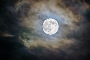 Moonrise Meditation & Forest Stroll