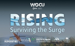 “Rising: Surviving the Surge” Screening and Panel Discussion at USF St. Petersburg