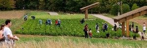 Field Fest at the Arb!