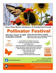 Adams Ricci Butterfly Garden Pollinator Festival