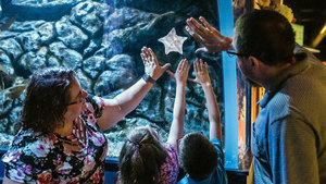 Waves of Appreciation Weekends @CLEAquarium