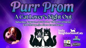 Purr Prom, a fundraising event benefitting Indy Neighborhood Cats