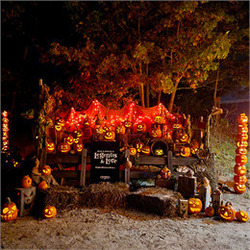 Halloween Legends & Lore