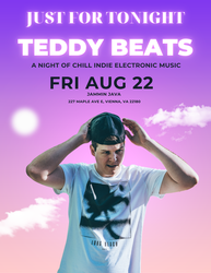 Teddy Beats – Just for Tonight: A chill night of indie electronic music