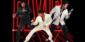 Chris MacDonald's Memories of Elvis in Concert