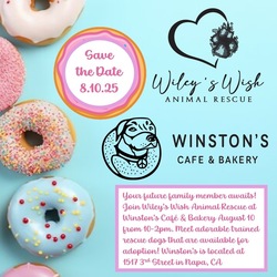 Wiley's Wish Animal Rescue at Winston's Cafe & Bakery in Napa