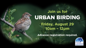 Urban Birding Walk @CLEAquarium