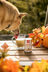 The Honest Kitchen’s Dog-Friendly Pumpkin Spice Latte Sampling