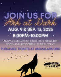 Ark at Dark @ Animal Ark