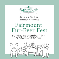 Fairmount Fur-Ever Fest