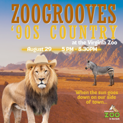 ZooGrooves: 90s Country