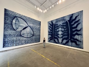 Davana Robedee, "Biformity"