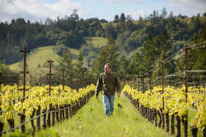 An Evening with Bohème Wines Winemaker