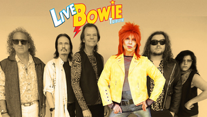 Live Bowie Tribute