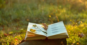 The People's Poetry