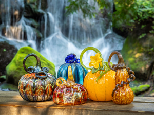 Glass Pumpkin Patch!