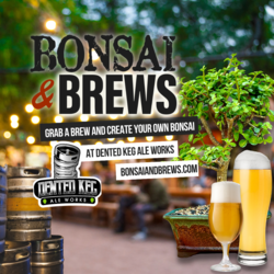 Bonsai & Brews at Dented Keg Ale Works