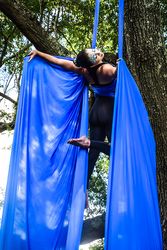 MetaMORPHOsis: The Lifecycle of the Blue Morpho Butterfly