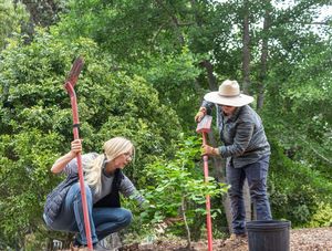 “Survivor Tree Ceremony” at San Diego Botanic Garden